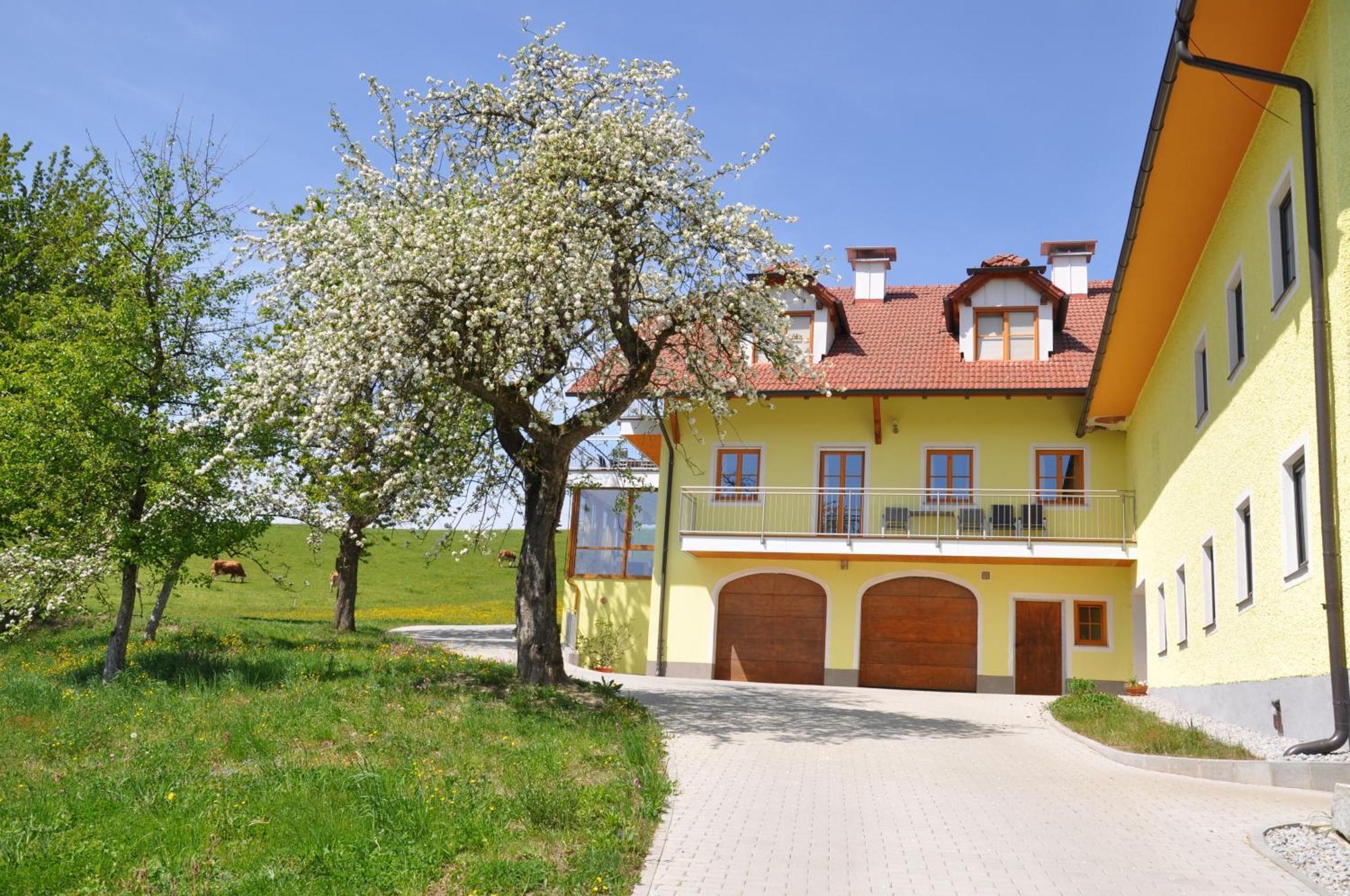 Ferienwohnung Mayrhofer Hofkirchen im Mühlkreis Exteriér fotografie
